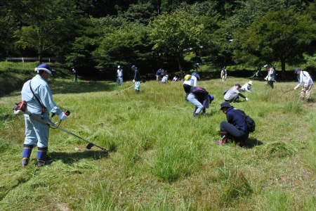 組合員の活動報告